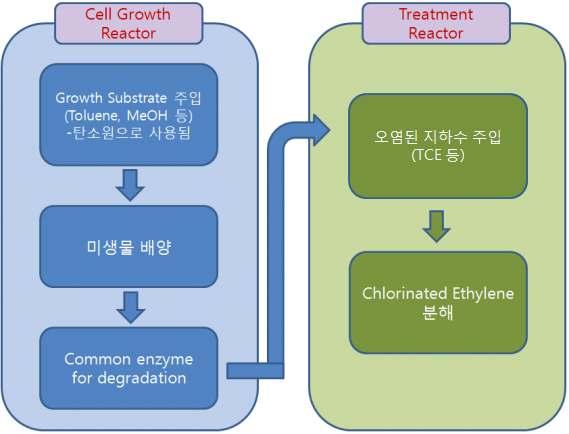 세포배양반응기 (cell growth reactor) 에서생장기질 (growth substrate) 을이용하여증식된 미생물들로하여금오염원 (pollutant) 인염화에틸렌