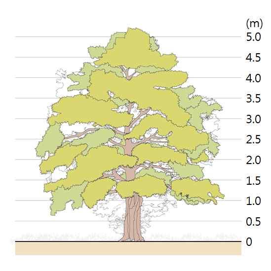 3 대관목류및소교목류 관목류를식재하는경우기준환산면적의 50% 만인정 8 0.