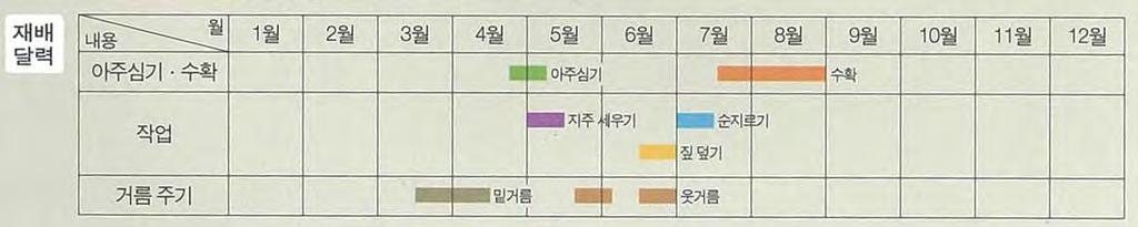 최근에는특히토마토의붉은색소인리코핀의강력한항산화작용이주목을받고있다.