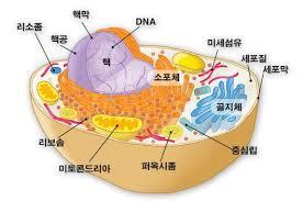 하이투자증권리서치센터 자료 :