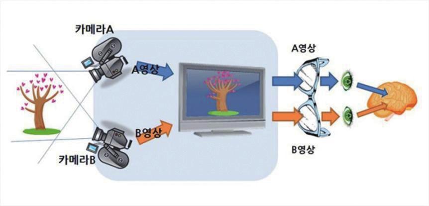 68 한림 ICT 정책저널 Hallym Communication Policy Research Center 69 실감미디어로바라보는평창동계올림픽 I/C/T/ 정 / 책 / 동 / 향 실제사물을볼때양쪽눈은각각조금씩다른각 도로사물의형태를인식한다. 이렇게두눈에들 어온영상신호가합쳐져하나의영상으로인식되 는과정에서두뇌는각사물의 3 차원적인원근과 깊이를인지하게된다.