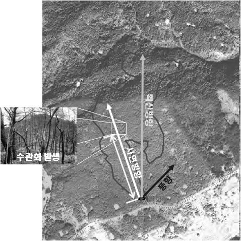 Ⅲ. 재료및방법 1. 지표화 수관화전이지산불환경특성분석가. 사례조사를통한수관화발생특성 2007년부터 2009년봄철산불기간까지발생한산불을대상으로발생지점방향과산불확산방향, 이때의바람방향을조사하였다. 이를위해서는우선정확한발생위치 ( 좌표 ) 를획득하는것이중요하다.