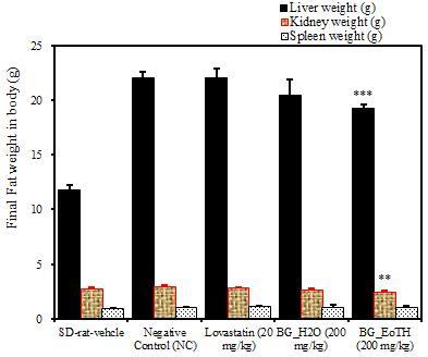 나 ) BG_EoTH & BG_H2O들의고콜레스테롤식이고콜레스테롤혈증병태모델에서장기무게분석 Fig.