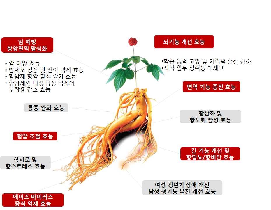 고려인삼 (Panax ginseng C.A. Meyer) 은두릅나무과 (Araliaceae) 에속하는식물로써어원을보면 Pan 은모든것, Axos 는의학이라는뜻으로만병통치라는의미를뜻함. 이러한고려인삼은수천년동안고귀한생약재로사용되어왔으며, 역사적으로문화적으로그리고산업적으로매우중요한우리민족의유산이자자원임.