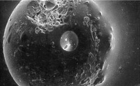 혜성의충돌과생명의출현 달표면의크레이터에서아폴로 11 호가채취한모래를분석 달과작은천체들이충돌했을때발생한먼지들로뭉쳐진유리구슬을발견