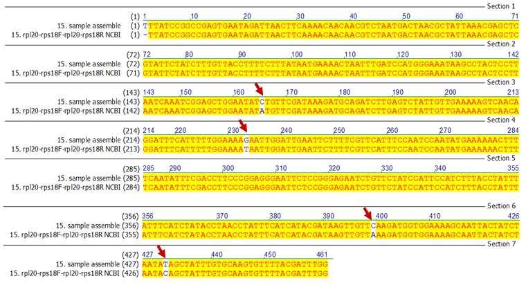 NCBI에등록되어있는 P. densiflora의 rpl20 - rps18 non-coding 염기서열 (NCBI 등록번호 : JN854210) 과앞서증폭된유전자의염기서열을 align하였다. 그림 43에서확인할수있듯이화살표로표시한 4개의염기서열부위에서 NCBI에등록된유전자와불일치되는것을확인할수있었다.
