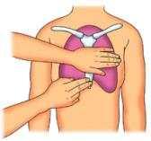 심폐소생술 ( 호흡과맥박이모두없는경우에실시 ) 순서의식확인 ~ 2회숨불어넣기경동맥확인 실시방법 o 인공호흡법의의식확인 구조요청 자세교정 기도 ( 숨길