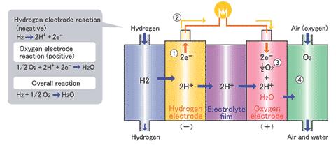 2) 수소연료전지자동차정의 수소연료전지자동차는연료로서수소를사용하며이를공기중의산소와화학반응을시켜, 이때발생하는전기를이용해구동용모터를작동시킴으로써운전되는자동차를말함 < 그림 2> 연료전지구조 1. 외부에서공급되는수소분자 (H 2 ) 는, 2개의전자 (e-) 를풀어놓고수소이온 (H+) 이됨 2.