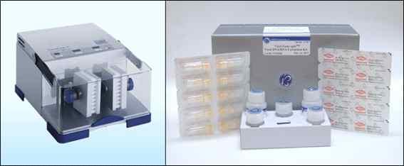 (21mer) 213 年 3 月 13 日 Designed in this study Table 2-2 SFTS 바이러스검출을위한 real-time PCR primers Fig. 2-27 SFTS 바이러스유전자 (RNA) 추출장비 ( 좌, TissuelyserⅡ; 우, Viral gene-spin DNA/RNA extraction kit). 나.