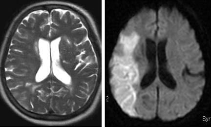 Fig. 4. Fig.