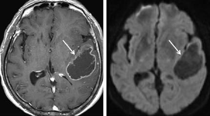 Fig. 7. Fig.