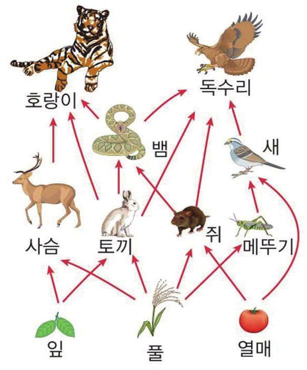 회차 50 IV. 자연속의인간 2. 생물의다양성과환경 생물다양성과생태계의보전 학습목표ㅣ 1. 생물다양성이생태계에끼치는영향을설명할수있다. 2. 생물다양성을위협하는요인을설명할수있다.