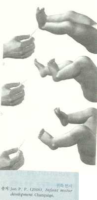 (2) 반사운동능력 - 위축반사 (withdrawal reflex) : 손, 발에고통스러운자극이오면손발을오므린다.