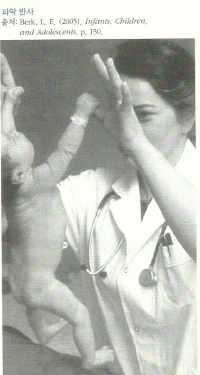 - 파악반사 (grasping reflex) : 손바닥에손가락이나물체로자극을주면신생아는무의식적으로손에닿는것을세게움켜쥐고놓지않는반응을보인다.