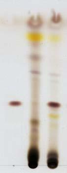 따로겐티오피크로시드표준품 1 mg 을메탄올 1 ml 에녹여표준액으로한다. 이들액을가지고박층크로마토그래프법에따라시험한다. 검액및표준액각각 10 μl씩을박층크로마토그래프용실리카겔 ( 형광제첨가 ) 을써서만든박층판에점적한다. 다음에초산에칠 무수에탄올 물혼합액 (8 : 2 : 1) 을전개용매로하여약 10 cm 전개한다음박층판을바람에말린다.