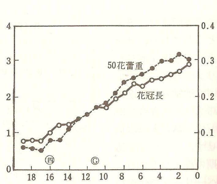 얼리스튜벤 ( 버팔로 ) 의경우는주수부화관장이델라웨어와같은 1.7 1.8mm, 화뢰중은 0.20 0.25g에도달할때 1차지베렐린처리적기로한다.