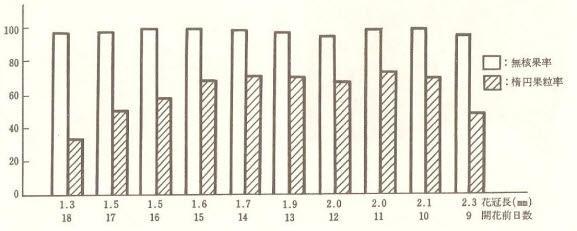 무핵과율 타원과립율 화관장 (mm) 개화전일수 ( 그림 22) 화관장과무핵, 타원과립율과의관계 마. 결과조절지베렐린처리를행하면수세가강한나무에서는착립수가증가하고숙기가앞당겨지기때문에수체에미치는영향이크고당도가저하된다. 이때문에무처리재배보다도결과조절이중요하다.