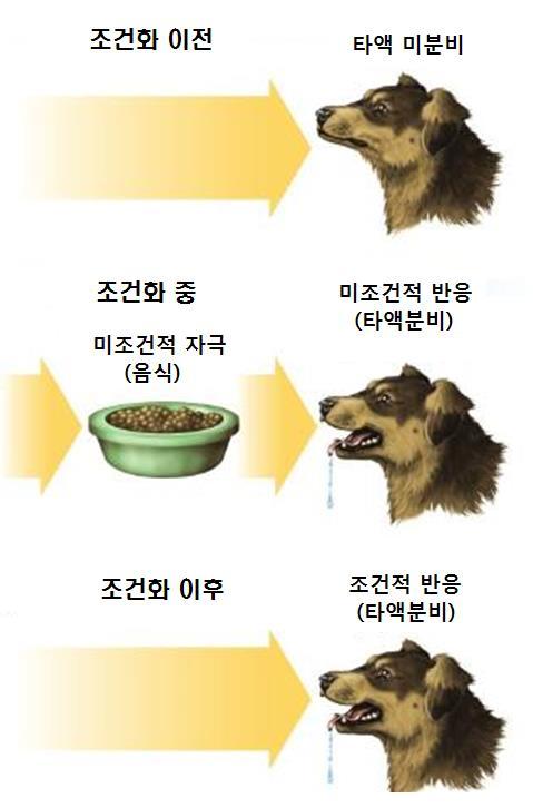 2. 미디어효과 1) 대효과이론 대중화시대 : 1920~1940