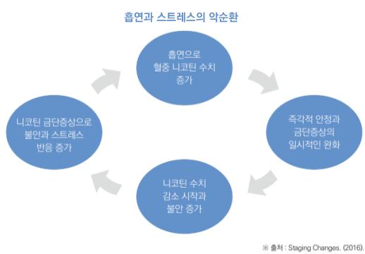 3. 정신건강문제의위험인자로서흡연 니코틴의존과정과정신건강 먼저, 흡연을함으로써흡연자에게나타나는니코틴 (Nicotine) 의존과정을살펴보면흡연이정신건강에미치는영향을이해하는데도움이된다. 흡연시니코틴이폐의모세혈관에서뇌에도달하는시간은 10~19초정도로빠르며, 단하루만에내성 (Tolerance) 이나타나는중독물질로이에대한의존또한매우빠르게생긴다.