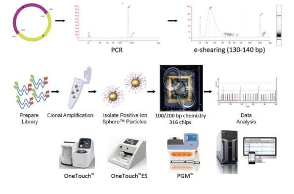 [ 그림 6] Ion Torrent PGM (Personal Genome Machine) 기법 차세대염기서열분석기법으로 Ion