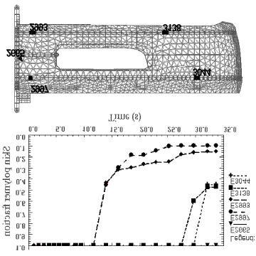 F ig. 20 Skin polym er