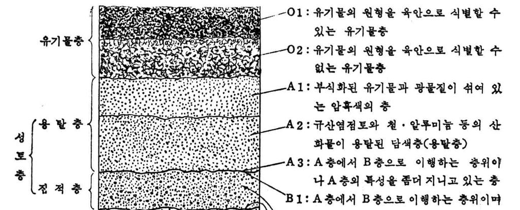 참고자료 (1) 표토의개요토양속에는식물이자라는데필요한물질이나공기, 물, 미생물등이함유되어있으며, 이중양분이많은표면의흙을표토 ( 表土, surface soil, topsoil) 라고정의한다. 표토는모재로부터끊임없이외적인영향을받아생성 변화된다.