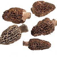 표고버섯유럽시장동향 (10) Morieljes 라틴어명칭 :Morchella esculenta 원산지 : 터키, 미국, 캐나다의대형잎및침엽수숲에서성장 특징 - 드물게봄철에성장되는버섯류 -뾰족형으로구멍이뚫린스펀지형태를갖춤 -