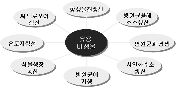 미생물농약의개발현황과바실러스미생물의중요성 Figure 2. 미생물농약으로쓰이는미생물의유용기능. 오이탄저병균 수박잘록병균 Figure 3.