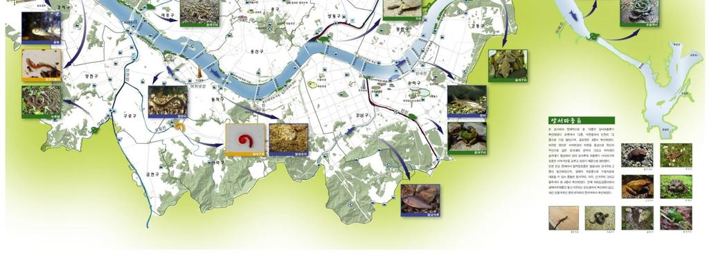 ) 17) 16) 서울특별시 서울의산과공원 생태정보시스템