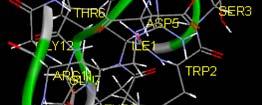 CG-Obesin CG-Osteoclano CG-Hairigment CG-Anfladin CG-Progenerin