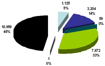 제 3 장방송산업 85 46.2% 이며, 2002 년대비 2003 년증가율은 76.7% 였다. [ 그림 3-4] 방송채널사용사업자매출액구성내역 5) 위성방송사업자위성방송사업자의매출액은 2002년출범이후지속적인가입자의확대로증가하고있는것으로나타났다.