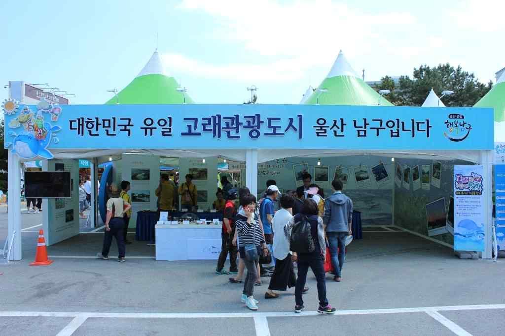 m 따라서울산고래축제개최전 / 후주최측은울산남구지역의포경역사와문화를홍보하는한편돌고래보호차원에서전문적이고다양한안전관련홍보전략이필요하다고판단됨. m 하지만, 울산고래축제는우리나라포경산업의중심지인장생포지역에서개최되고있으며현재도고래고기전문식당들이영업하면서부정적시선이받는것으로분석됨.