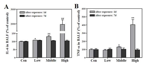 ( 다 ) 염증사이토카인분석 DDAC 및 EG 혼합물질의 4 시간단회흡입노출직후모든노출군에서대조군대비유의적인 IL-6 증가가관찰되었다 (Figure 13A). TNF-α 는중농도및고농도노출군에서증가하였다 (Figure 13B).
