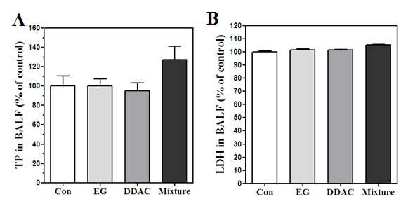 ( 나 ) 생화학적분석기관지폐포액내폐기능지표인총단백질 (TP) 농도는대조군대비유의성은없으나 DDAC+EG 혼합물질노출군에서증가하는양상이관찰되었다 (Figure 17A). 세포손상지표인젖산탈수소효소 (LDH) 항목분석에서는모든단일물질및혼합물질노출군에서대조군과차이가관찰되지않았다 (Figure 17B).