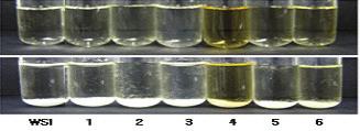 70 결과및고찰 대한민국약전외한약 ( 생약 ) 규격집의의약품각조에따른시험결과모든검액에서흰색의침전이생성 되었다 (Figure 2). [before coloration] [after coloration] Figure 2.