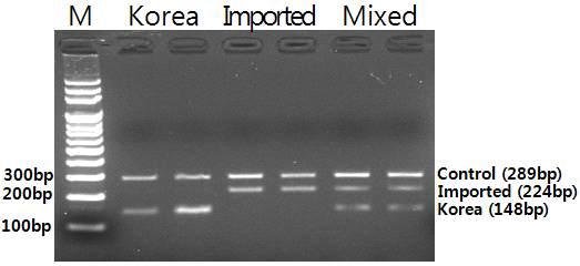 2015 농산물품질관리연보 (2) Allele Specific(AS)-PCR법개발및유전자형분석최종선발된 2개의유전자마커를대상으로 AS-PCR법에대한조건을검토하였다.