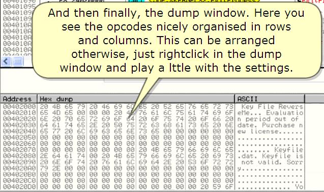 20120328_lena 한글페이지 15 And then finally, the dump window. Here you see the opcodes nicely organized in rows and columns.