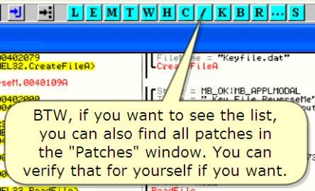 20120328_lena 한글페이지 46 The checking of the box will assure that both opcodes are NOPed!!! Checking box 는 opcode 들을 NOPed 로된다는것을확언한다. Yep.