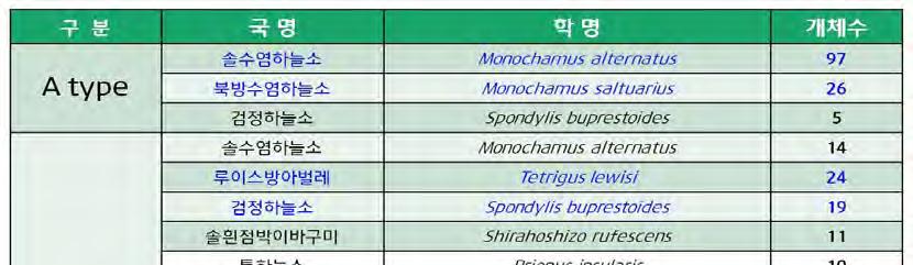 국립산림과학원 표 39. 유형 A 와유형 B 트랩에서포획된딱정벌레목종류및개체수 유형 C 트랩은다중깔때기타입에국내에서합성한솔수염하늘소집합페로몬과 ipsenol, ipsdienol, ethanol을각기농도와배합을달리한 8개의조합으로유인력이최적인조합을선발하고자하였다 ( 그림 99).