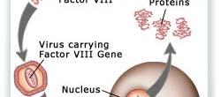 의유전암호를통해서단백질을만드는방법을세포에전달 유전자치료란?