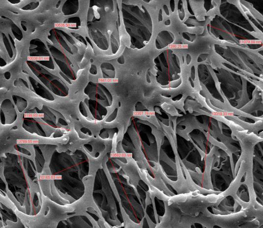 2 HPS flat sheet membrane is made from a Polyethersulfone Polymer cast, offered