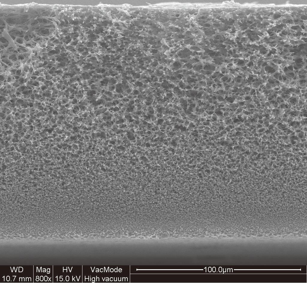 These range from pre or final filtration in the food & beverage industry, process