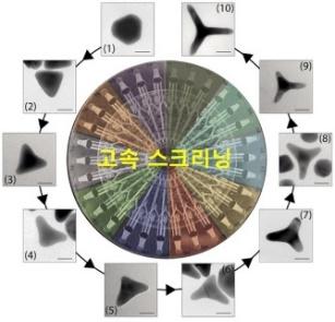 NaOH g 자동차용 저온경화형