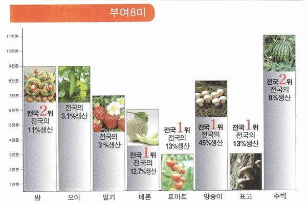 유통센터별공동선별을통한노동력해소및고용창출 3.