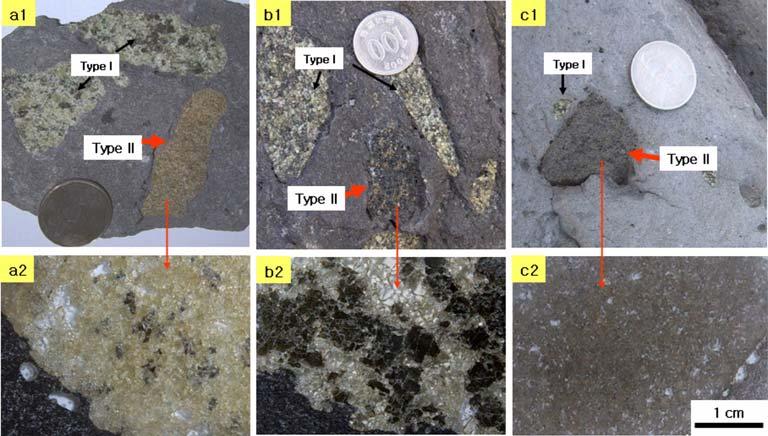 x sz Type II sz : p 9 Fig.. Type II xenoliths from Jeju Island. (a1, a) A yellowish wehrlite xenolith consisting mainly of olivine with a minor amount of clinopyroxene and orthopyroxene(sample SS1-).