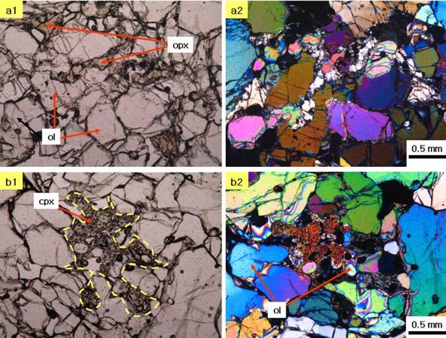 Photos a, b and c are enlarged polished sections of a1, b1 and c1, respectively. The scale bar in c is also applied to photos a and b. Each photo also shows the greenish Type I mantle xenolith nearby.