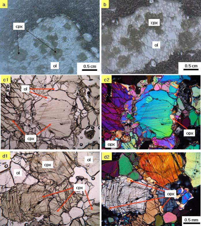 0 Á Áy zá½ Fig. 4. Photomicrographs of textural features of Type IIb xenoliths(olivine clinopyroxenite). (a, b) Polished sections showing cumulate textures from samples 07SS1 and SS1-1, respectively.