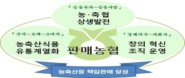 Ⅱ. 비전및발전전략 1. 비전 농업인과농 축협에게실익을주는판매농협구현 2. 사업목표 15 년 20 년 15 년 20 년 경제지주책임판매 19% 51% 농 축협사업물량 50.3 조원 58.