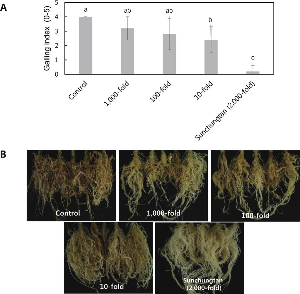 54 Research in Plant Disease Vol. 21 No. 2 99.78% 유사도(EZ-taxon blasting 결과)를 보였다(Fig. 2C).