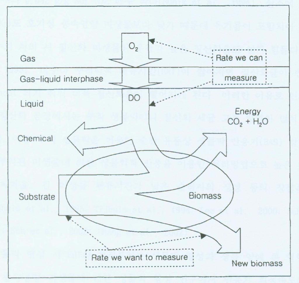 Fig. 3-26. 기질소모와성장에따른호흡율의관계모식도 ER-1 반응기의 OUR 측정실험은직접제작한경질의 respirometer bottle를호기성소화가진행되고있는반응기와직접연결에의해이루어졌다. 이에대한개략도는 Fig.